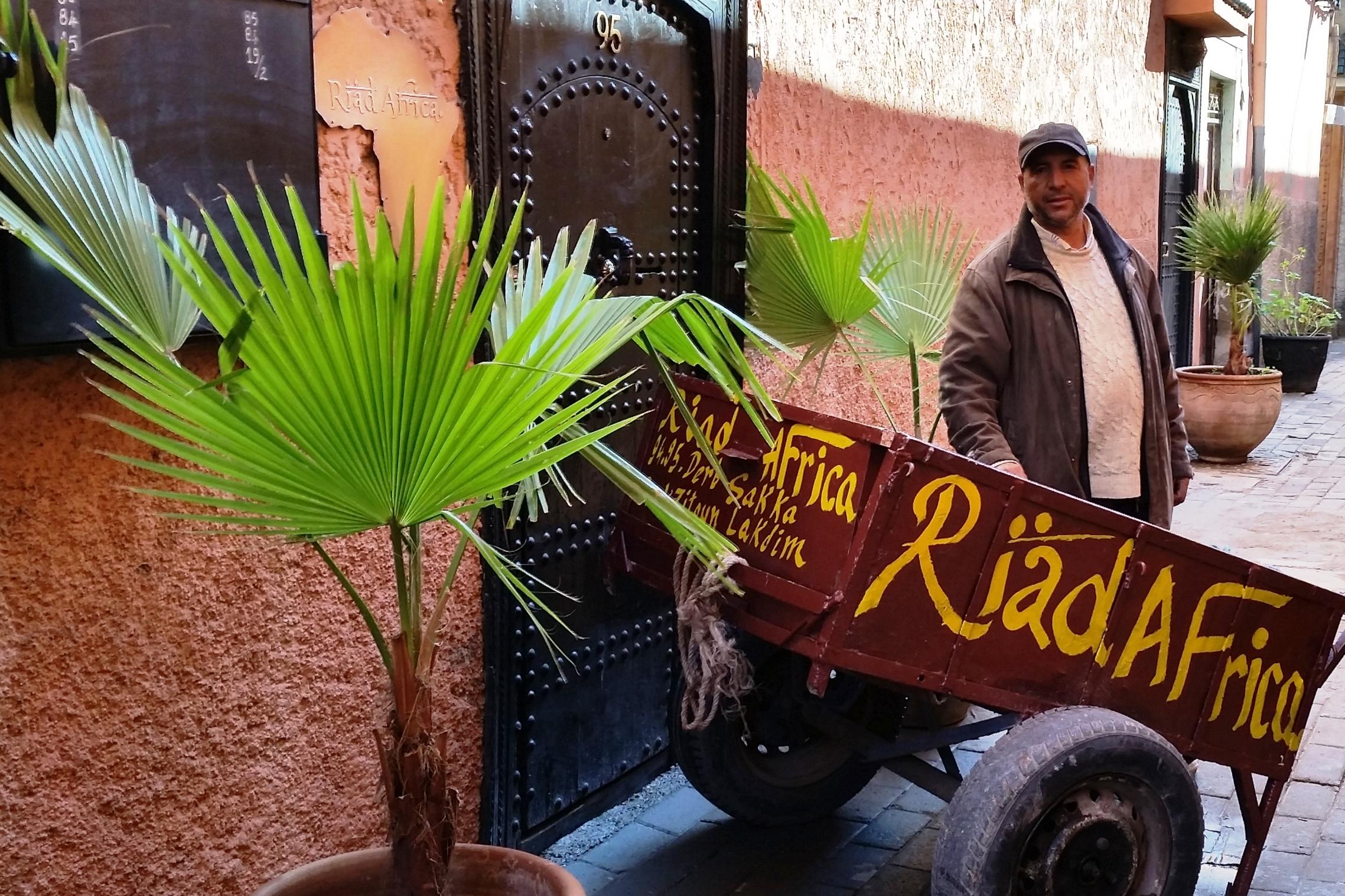 Riad Africa Marrakesh Exteriör bild